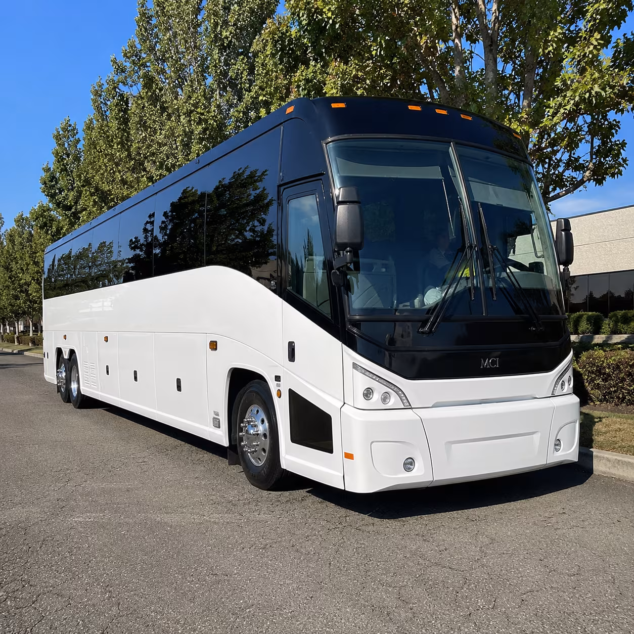 sunrise 50 passenger charter bus