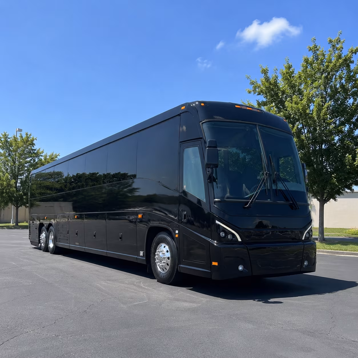 sunrise 56 passenger charter bus